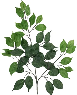 Produktbild von EUROPALMS Ficuszweig Benjamina, künstlich, 12x (82506101)