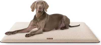 Produktbild von Knuffelwuff kuschelige Hundematte Calliope aus Teddy Material 88x55 Beige