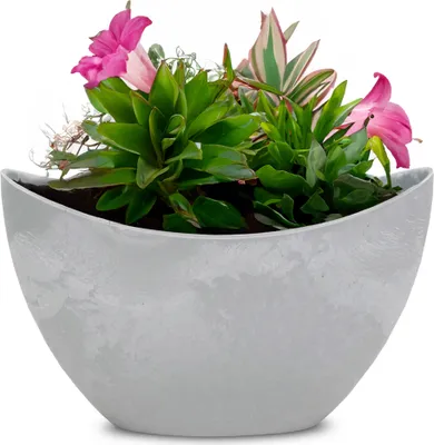 Image de Jardinière ovale 20 cm Vintage gris clair pour l'extérieur