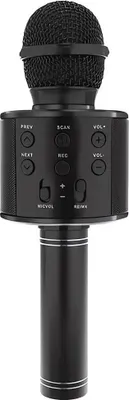 Obrázek produktu pro Izoxis 22189 Karaoke mikrofon - černý