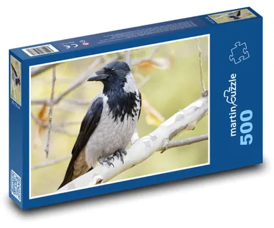 Obrázek produktu pro Puzzle 500 Vrána na větvi - martinpuzzle