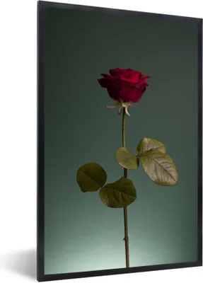 Produktbild von MuchoWow® Gerahmtes Poster Rosen - Rose - Rot 20x30 cm - Poster mit Schwarzem Bilderrahmen Wandposter Rahmen Foto Bilder - Drucken - Bilder Poster im Rahmen