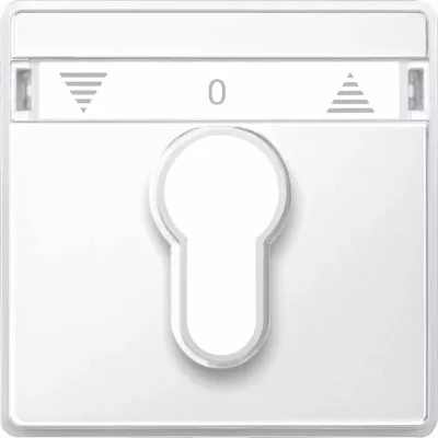 Produktbild von Merten Zentralplatte pws 348219