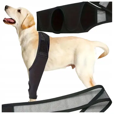 Produktbild von Fazoo Hund Sprunggelenk-Orthese Stabilisator Verletzungsschutz S
