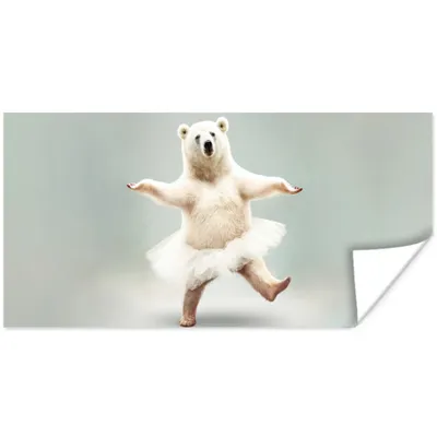 Produktbild von MuchoWow® Poster Eisbär - Tutu - Weiß - Porträt - Tiere 150x75 cm - ohne Rahmen