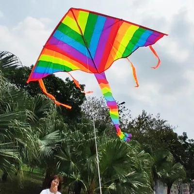 Produktbild von Regenbogen-Flugdrache XXL mit 30m Leine, einfacher Einhandstart, Kinder & Erwachsene