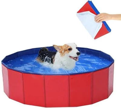 Produktbild von Famanu Hundepool 60 x 20 cm - Ablassventil - rutschfest - faltbar - für kleine Hunde und Katzen