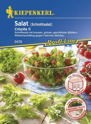 Produktbild von Salat 'Crispita II' Kiepenkerl Salatsamen