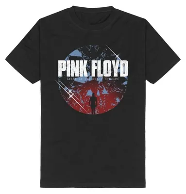 Produktbild von Pink Floyd T-Shirt Herren Shine On Diamond schwarz M