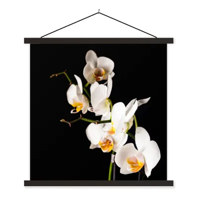 Produktbild von MuchoWow® Textilposter Orchidee - Blumen - Pflanzen - Botanisch 60x60 cm mit schwarzem Rahmen - Posteraufhänger