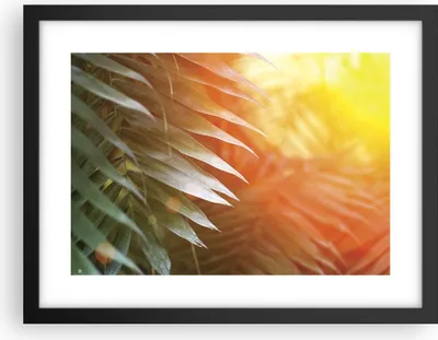 Produktbild von Gerahmtes Poster - Schwarzer Rahmen - Exotisch Blätter Dämmerung - 40x30 cm - Wand Bild - Wanddeko - Wandbilder - Kunstposter - Wandposter - Bilderrahmen - Bilder - Kunstdruck - P2BAA40x30-4807