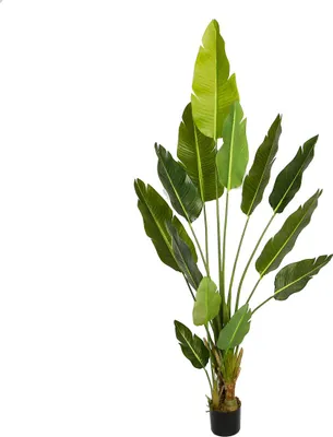 Produktbild von Lykke Künstliche Pflanze Paradiesvogel 200cm