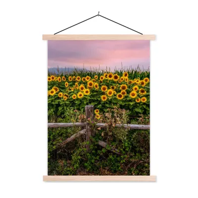 Produktbild von MuchoWow® Textilposter Sonnenblume - Blumen - Pflanzen 120x160 cm mit holzfarbenen Rahmen - Plakatkarton