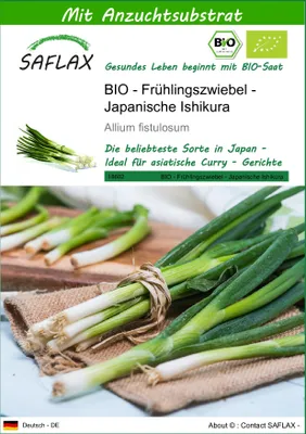 Produktbild von SAFLAX - BIO - Frühlingszwiebel - Japanische Ishikura - Allium fistulosum - 150 Samen - Mit keimfreiem Anzuchtsubstrat