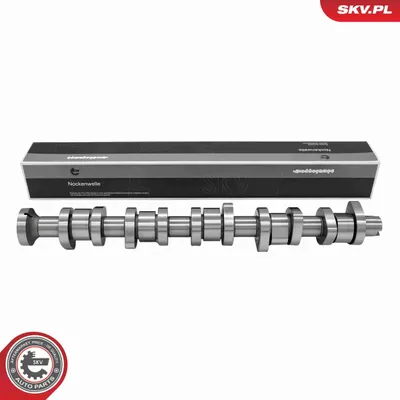 Image de ESEN SKV 80SKV007 Arbre à cames pour VW Transporter V Bus (7HB, 7HJ, 7EB, 7EJ, 7EF, 7EG, 7HF, 7EC) Multivan V (7HM, 7HN, 7HF, 7EF, 7EM, 7EN) Touareg