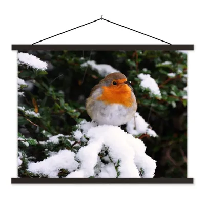 Produktbild von MuchoWow® Textilposter Rotkehlchen - Baum - Schnee 120x90 cm mit schwarzem Rahmen - Aufhänger für Poster