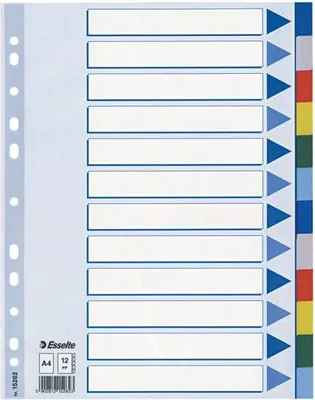 Image de Esselte 15262 intercalaire de classement Onglet avec index vierge Polypropylène (PP) Multicolore