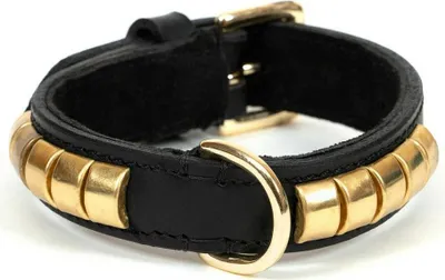 Image de Collier de chien Gloria Duna noir doré (35 x 2 cm)