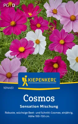 Produktbild von Kiepenkerl Cosmossamen Sensation Cosmos bipinnatus 40 Pflanzen