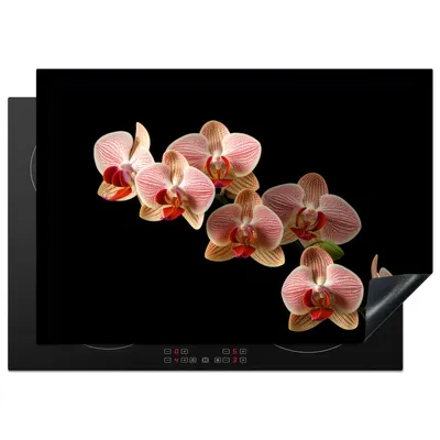 Produktbild von KitchenYeah© Herdabdeckplatte Blumen - Orchidee - Rosa - Botanisch - Natur , 75x52cm, Küche Deko, Glaskeramikkochfeld Herdabdeckung, Abdeckplatte fùr Kochfeld