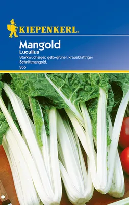 Artikelbild 1 von 'Mangold Lucullus' aus der Kategorie Mangoldsamen