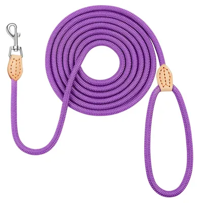 Produktbild von Hundeleine 3 m x 0.8 cm Lila für kleine und mittelgroße Hunde