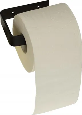 Produktbild von Toilettenpapierhalter Loft-Stil FEINZ Modernes Design Wandmontage Metall Schwarz