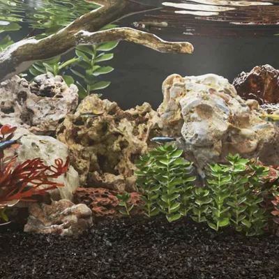 Produktbild von Drakenstenen-Aquariendekoration, 25 kg, Grau, 10-40 cm