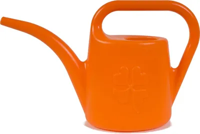 Image de Prosperplast arrosoir 2 L avec pomme de douche poignée à étrier fleurs balcon jardin entretien des tombes, couleur:orange