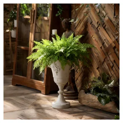 Produktbild von Urnen-Pflanzgefäß im Vintage-Stil mit geprägtem Muster, dekorativer Blumentopf mit Bronze-Finish, klassischer runder Blumentopf für drinnen und draußen, Haus, Garten, Terrasse, Veranda