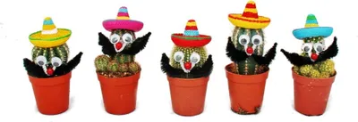 Image de Cacti avec sombrero amusant