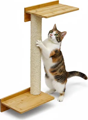 Produktbild von 71 cm Wandkratzbaum mit 2 Plateaus für Katzen - Sisal Kratzbaum zur Wandmontage