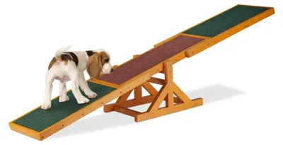 Agility-Wippe für Hunde, 54x180x30 cm, bis 50 kg, bunt