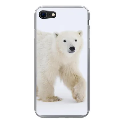 Produktbild von MuchoWow® Handyhülle Schutzhülle Hülle für iPhone SE 2020 Eisbär - Schnee - Weiß Silikon Softcase Handy Hülle - Kartenbesitzer