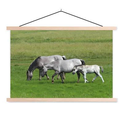 Produktbild von MuchoWow® Textilposter Pferde - Tiere - Gras 120x80 cm mit holzfarbenen Rahmen - Aufhängeset