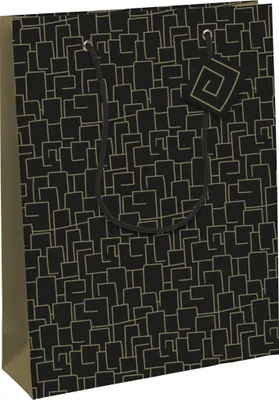 Produktbild von Clairefontaine 6x Archi Excellia Geschenktasche L 26,5x14x33 cm Schwarz 32478-2C