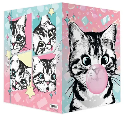 Zdjęcie produktu dla Folder rysunkowy Słodki Kot, 320 x 430 cm, A3 RNK 45386
