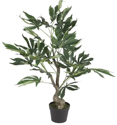 Produktbild von Kunstpflanze Dekopflanze Zierpflanze Hanfgewächs 60cm Topfpflanze