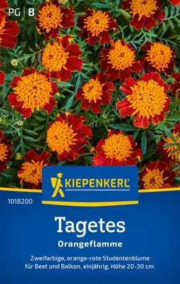 Artikelbild 2 von 'Tagetes Orangeflamme' aus der Kategorie Studentenblumensamen