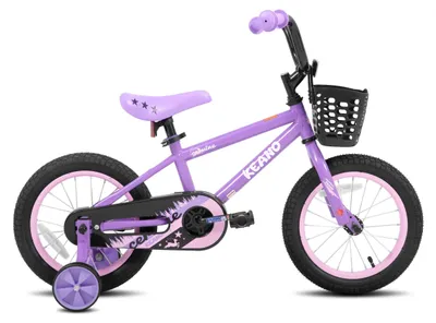 Immagine prodotto di Bicicletta per bambini da 40 cm - Bicicletta per maschietti e femminucce - Con rotelle - Cestino - Copricatena - Per bambini dai 3 agli 8 anni - Viola