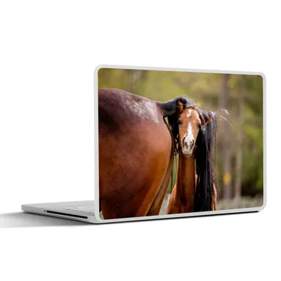 Produktbild von MuchoWow® Laptop Aufkleber Sticker Cover Pferde - Natur - Braun 36.5x27.5 cm - Laptop-Sticker