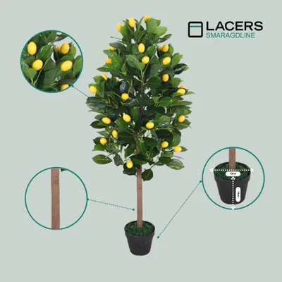 monstera moos Moss Pole Monstera Plant Support 28