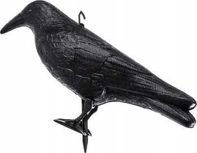 Image de KADAX Black Raven « Krokom », plastique, répulsif pour oiseaux, lutte naturelle contre les nuisibles, 39 cm