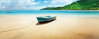 Produktbild von Wallario selbstklebendes Poster - Urlaub am Palmenstrand unter Palmen mit Fischerboot, Größe: 50 x 125 cm
