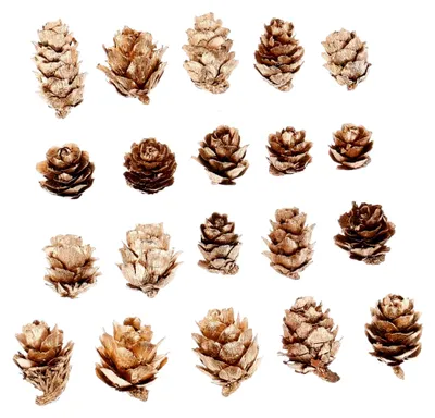 Produktbild von Künstliche Deko Goldene Kleine Pinienzapfen für Weihnachtsbaum und Dekoration