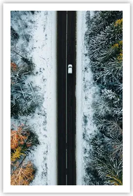 Produktbild von Poster - Poster ohne Rahmen - Wald Weg Schnee - 61x91,5 cm - Wand Bild - Wanddeko - Wandbilder - Kunstposter - Wandposter - Bilder - Kunstdruck - Wanddekoration - Wandbild - P2XPA61x91-4654