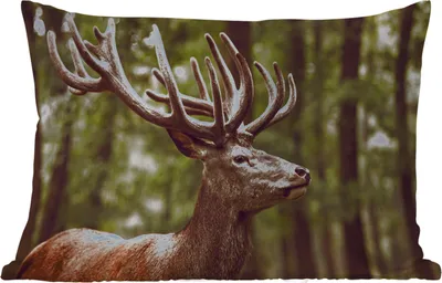Produktbild von MuchoWow® Outdoor Kissen - Hirsch - Natur - Geweih - Wald - Tiere - 50x30 cm - Wetterfest - Lounge Kissen - Sofa kissen - Wohnzimmer Dekoration