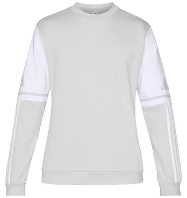 Produktbild von adidas Squadra 25 Sweatshirt M TMLGGR/WHITE