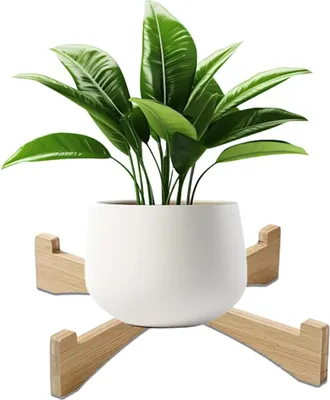Produktbild von Holz Pflanzenständer Innen Klein Modern 8 Zoll Topf