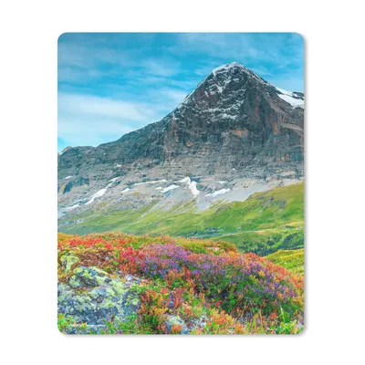 Produktbild von MuchoWow® Mauspad Mousepad Blumen - Berge - Schnee - Landschaft 30x40 cm - Mousepads - Maus Mat - Pad - Mausunterlage - Mausmatten